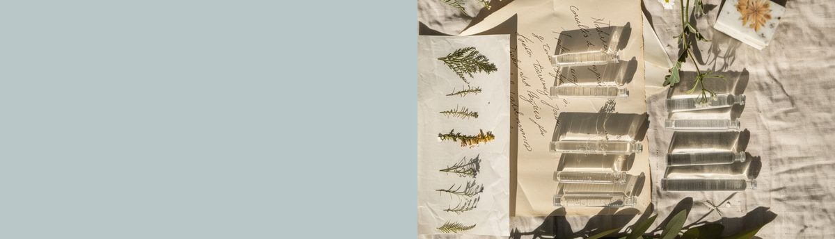 A styled flat-lay of clear glass rectangular dishes or molds arranged on beige paper over a light fabric background, with dried botanical elements and a large muted blue-gray color block occupying the left side.