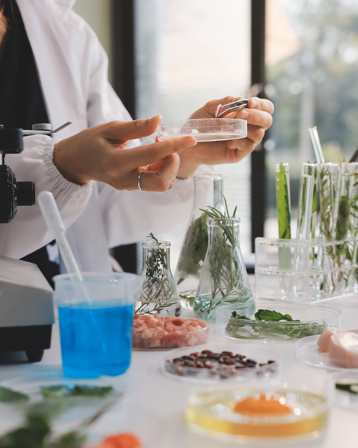 A close-up lifestyle shot of a person in a white lab coat holding a clear petri dish with a metal loop, surrounded by scientific glassware, test tubes, and colorful liquid samples on a white table.